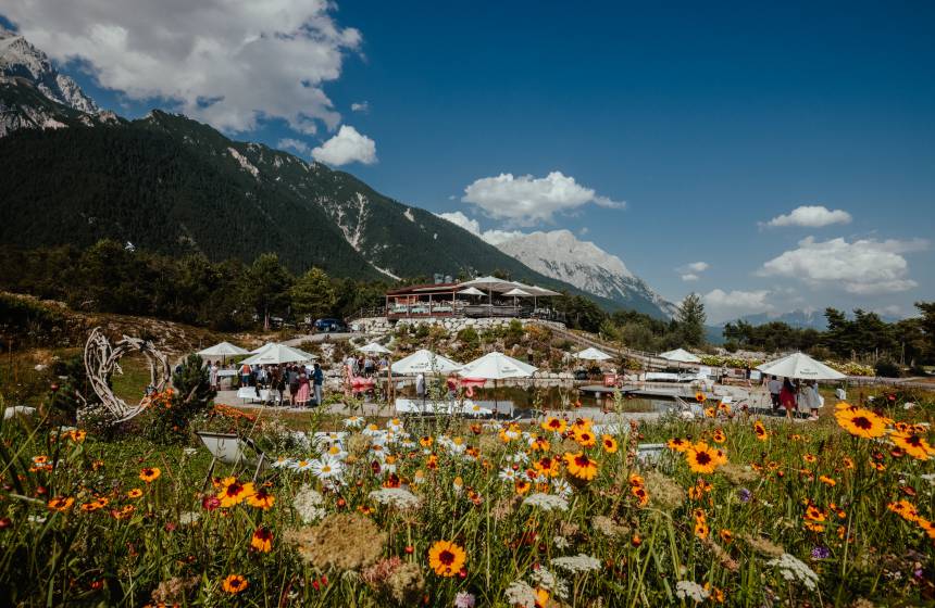 Blumenwiese mit Blick auf die Stöttlalm