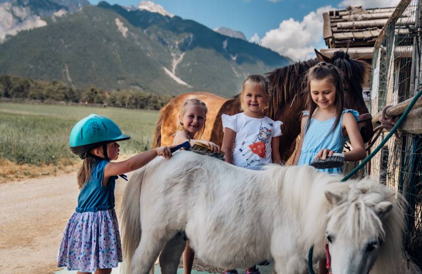 Family - Biohotel Schweitzer