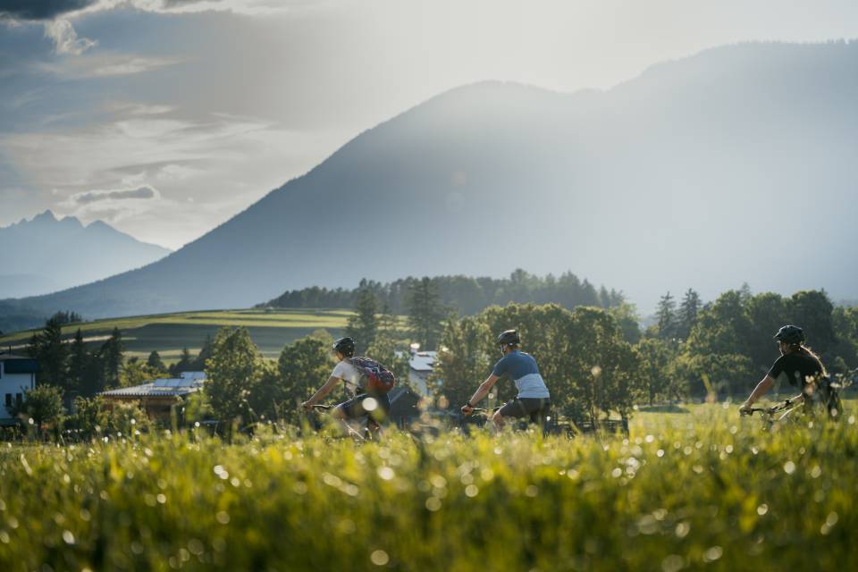 Gruppe von Radfahrern im Sommer