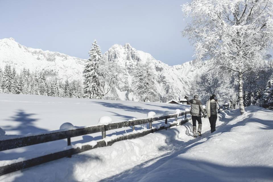 Wintersporterlebnis - Biohotel Schweitzer