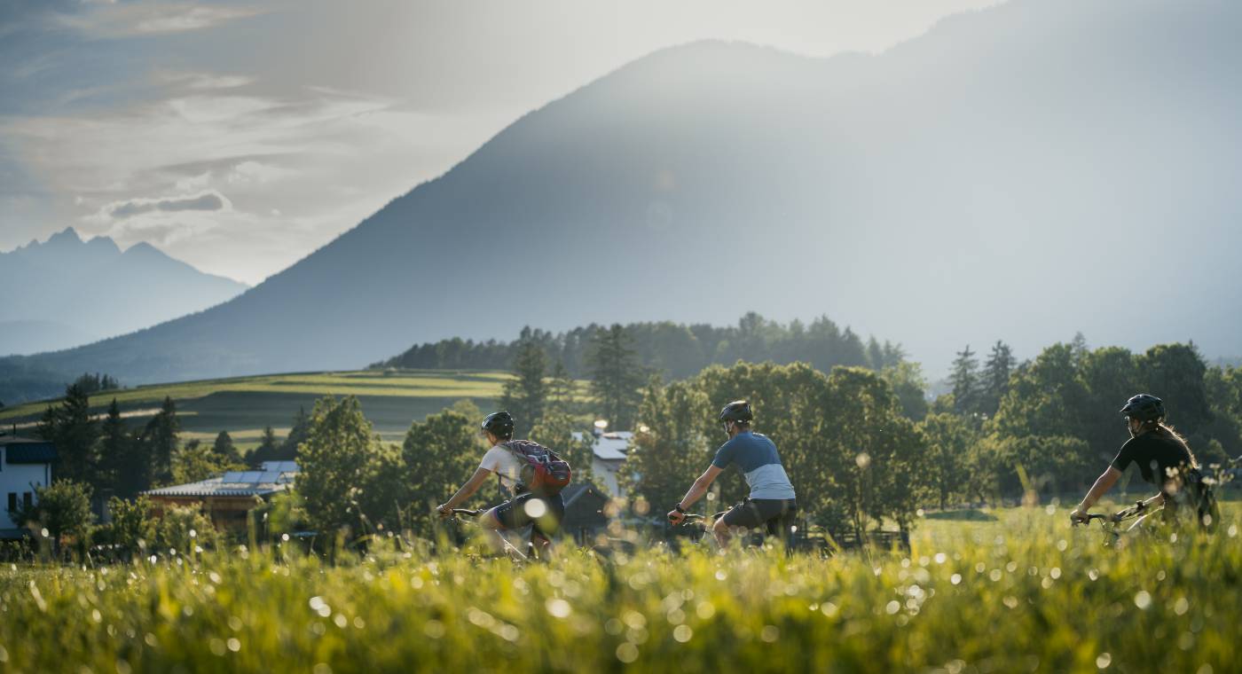 Gruppe von Radfahrern im Sommer