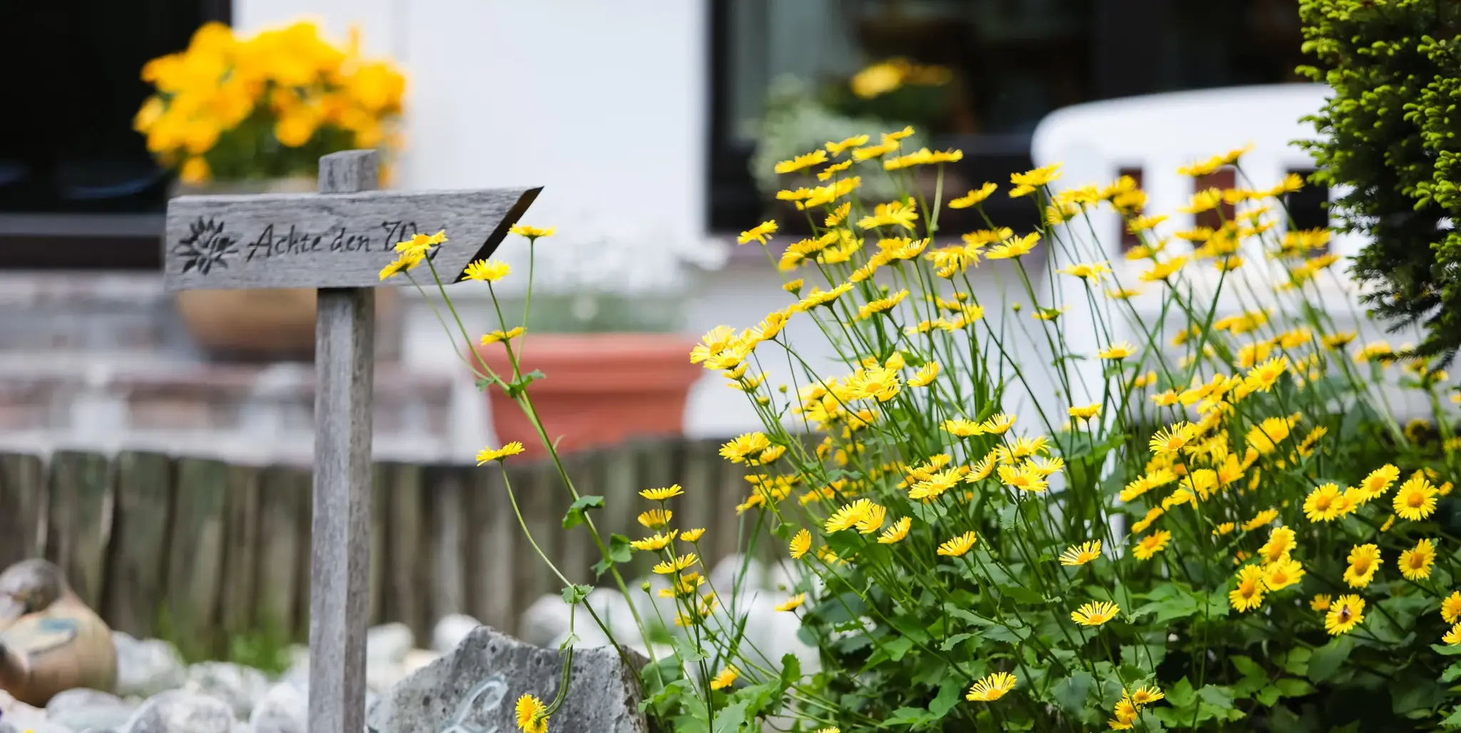 Blühende gelbe Gartenblumen und Holzschild „Achte den Weg“ im Bio-Garten des Biohotel Schweitzer