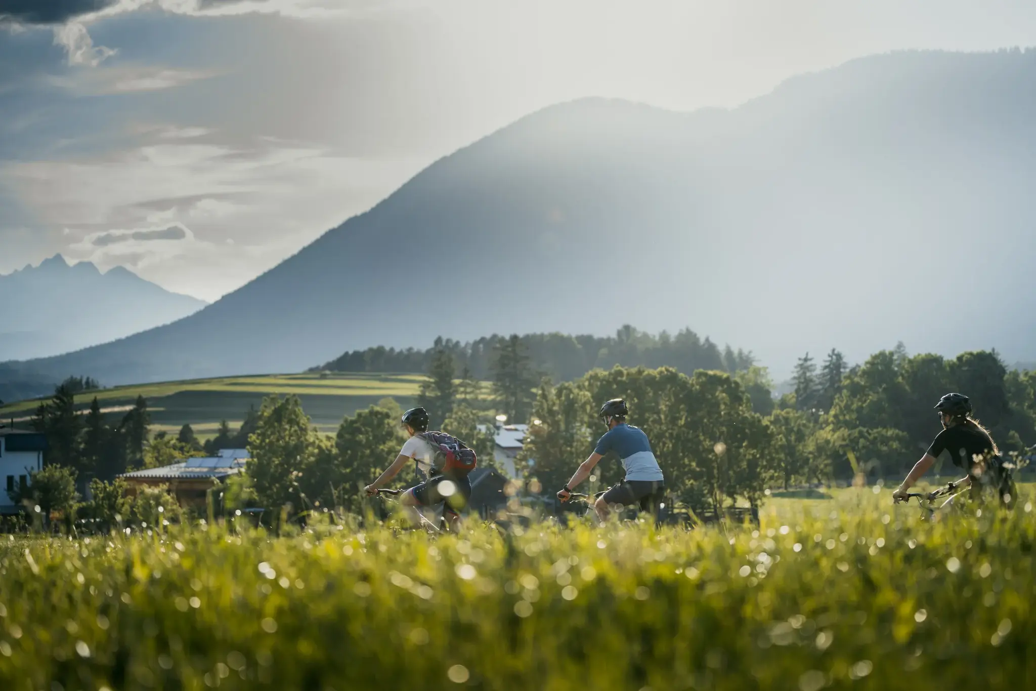 Three helmeted cyclists riding through a summer meadow in the evening light on the Mieminger Sonnenplateau in Tyrol